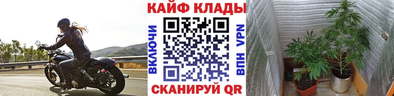 Купить наркотики цена Заринск МАРИХУАНА  ГАШИШ 