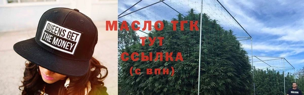 дмт Горняк