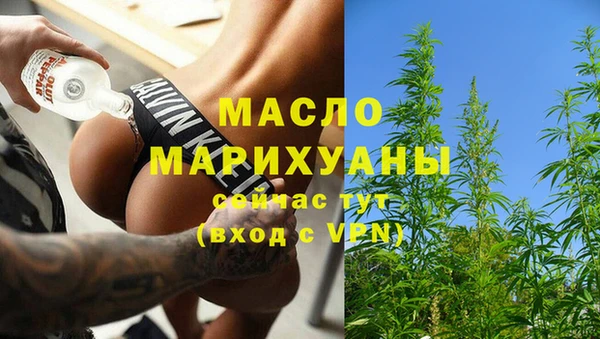 дмт Горняк
