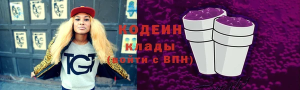 дмт Горняк