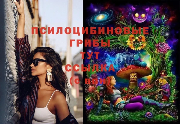 дмт Горняк