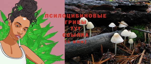 спайс Горнозаводск