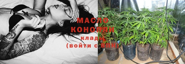 дмт Горняк