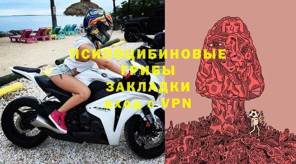 хмурый Горно-Алтайск