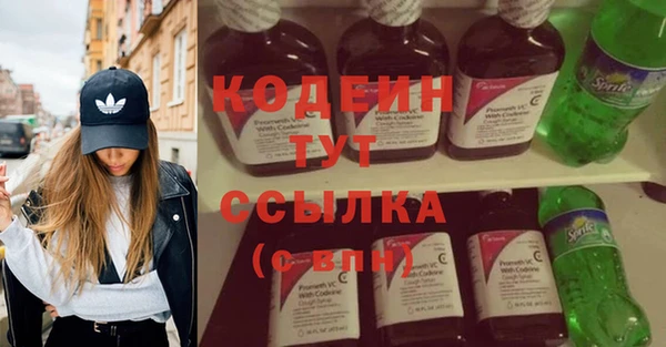дмт Горняк
