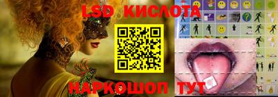 сатива Тверь