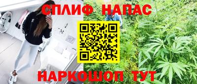 сатива Тверь