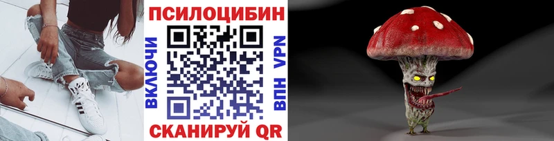 Псилоцибиновые грибы GOLDEN TEACHER  Заринск 