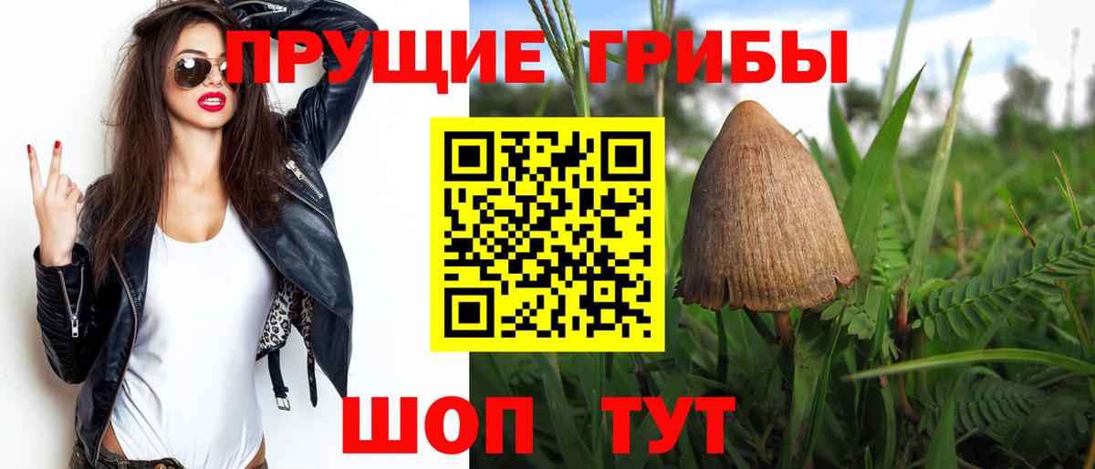 Псилоцибиновые грибы GOLDEN TEACHER  Вход с VPN  Заринск  Галлюциногенные грибы MAGIC MUSHROOMS 